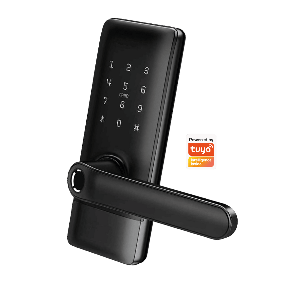 Cerradura eléctrica Wifi H1B Automatizate Negro 