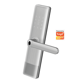 Cerradura inteligente Wi-Fi H2B Automatizate Gris 