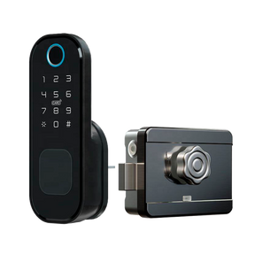 Cerradura de sobreponer TTLock