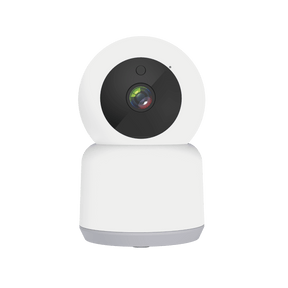 Cámara WiFi interior 360° Cámaras Automatizate 