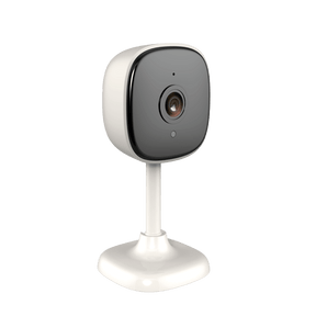 Cámara de seguridad interior fija Wifi Cámaras Automatizate 