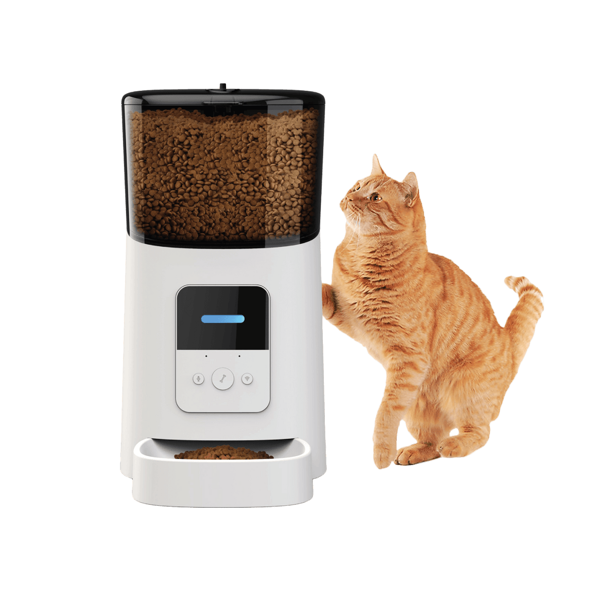 Dispensador automático de comida para gatos - Automatizate